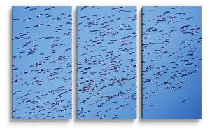 Sablio Obraz - 3-dílný Hejno ptáků - 120x80 cm