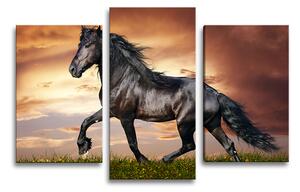 Sablio Obraz - 3-dílný Friský kůň - 75x50 cm