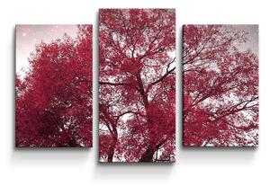 Sablio Obraz - 3-dílný Červený strom - 75x50 cm
