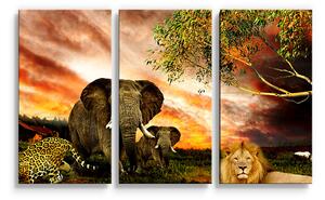 Sablio Obraz - 3-dílný Zvířata ze Sahary - 120x80 cm