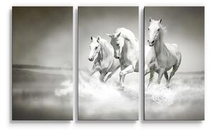 Sablio Obraz - 3-dílný Bílí koně - 120x80 cm