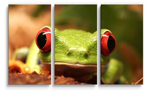 Sablio Obraz - 3-dílný Zelená žába - 120x80 cm