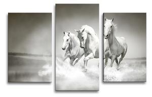 Sablio Obraz - 3-dílný Bílí koně - 75x50 cm