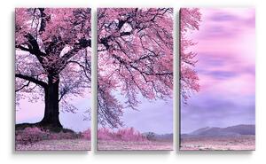 Sablio Obraz - 3-dílný Růžový strom - 120x80 cm