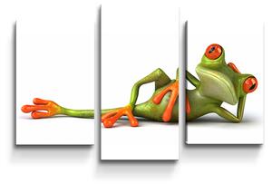 Sablio Obraz - 3-dílný Ležící žába - 75x50 cm