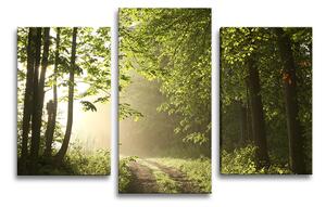 Sablio Obraz - 3-dílný Lesní cesta - 75x50 cm