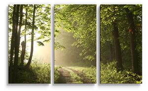 Sablio Obraz - 3-dílný Lesní cesta - 120x80 cm