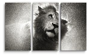 Sablio Obraz - 3-dílný Mokrý lev - 120x80 cm
