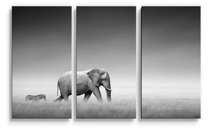 Sablio Obraz - 3-dílný Slon a zebra - 120x80 cm