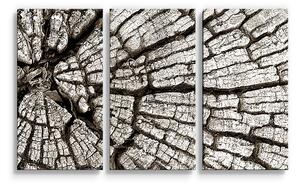 Sablio Obraz - 3-dílný Dřevo - 120x80 cm