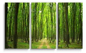 Sablio Obraz - 3-dílný Cesta v lese - 120x80 cm
