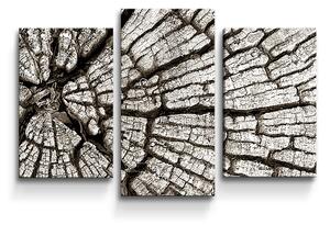 Sablio Obraz - 3-dílný Dřevo - 75x50 cm
