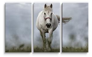 Sablio Obraz - 3-dílný Bílý kůň 3 - 120x80 cm