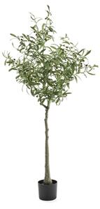 AJ Produkty Umělá rostlina EVERGREEN, olivovník, výška 1700 mm, 1 ks