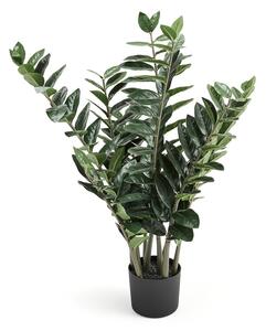 AJ Produkty Umělá rostlina EVERGREEN, kulkas zamiolistý, výška 1000 mm, 1 ks