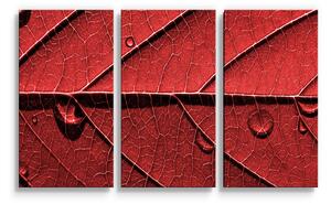Sablio Obraz - 3-dílný Červený list - 120x80 cm