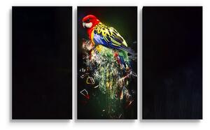 Sablio Obraz - 3-dílný Barevný papoušek - 120x80 cm