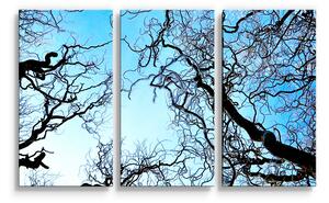 Sablio Obraz - 3-dílný Holé větve - 120x80 cm