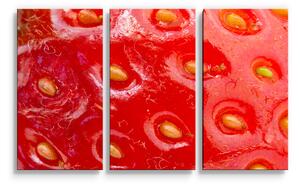 Sablio Obraz - 3-dílný Detail jahody - 120x80 cm