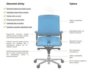 Asana Architekt - Asana zdravotní židle