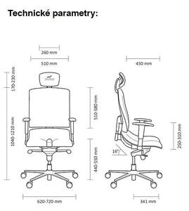 Asana Architekt - Asana zdravotní židle