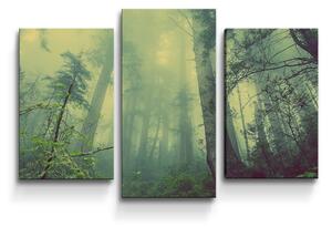 Sablio Obraz - 3-dílný Temný les - 75x50 cm