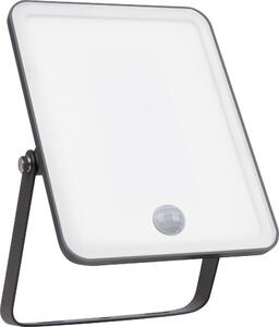 OSRAM HOMELIGHTING Floodlight Essential Sensor 30W 3000K 4099854430091 venkovní LED reflektor s PIR detektorem 30 W Barvy světla (LED svítidlo): teplá