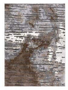 Moderní koberec COZY 8876 Rio Strukturální, dvě úrovně rouna, hnědý velikost 180x270 cm | krásné koberce cz