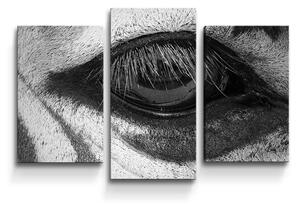 Sablio Obraz - 3-dílný Oko zebry - 75x50 cm