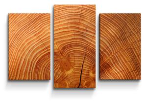 Sablio Obraz - 3-dílný Dřevo 2 - 75x50 cm