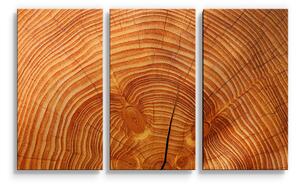 Sablio Obraz - 3-dílný Dřevo 2 - 120x80 cm