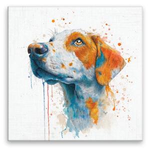 Obraz na plátně - Barevný psí pohled - 80x80 cm