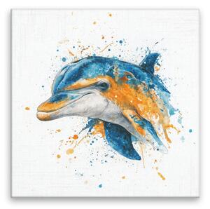 Obraz na plátně - Delfín v barvách - 80x80 cm