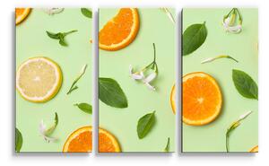 Sablio Obraz - 3-dílný Citrus a květ - 120x80 cm