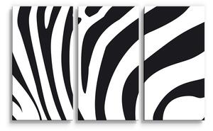 Sablio Obraz - 3-dílný Vzor zebry - 120x80 cm