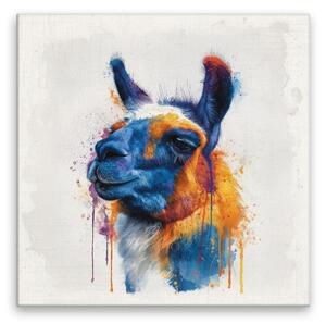 Obraz na plátně - Barevná lama 2 - 80x80 cm - CZ výroba
