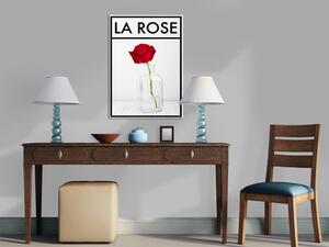 Obraz La rose