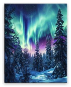 Obraz na plátně - Polární tanec světel 2 - 40x50 cm