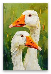 Obraz na plátně - Bílé husy - 80x120 cm - CZ výroba