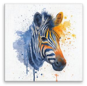 Obraz na plátně - Zebra v barvách - 80x80 cm