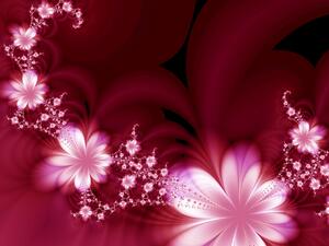 Fototapeta Květinový sen - kompozice květin v světlých barvách na tmavém pozadí