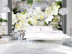 Fototapeta Krása přírody - květ bílé fresie se stínem na pozadí šedého dřeva