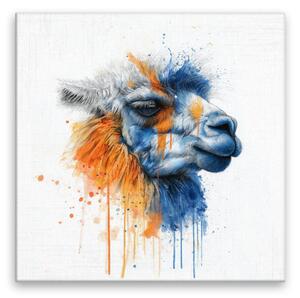 Obraz na plátně - Barevná lama - 80x80 cm - CZ výroba