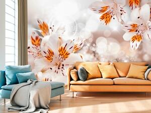 Fototapeta Oranžová příroda - motiv liliových květů v jemném světle slunce