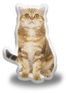 Sablio 3D polštář ve tvaru Kočička