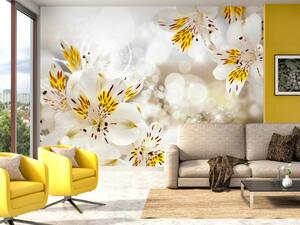 Fototapeta Příroda - motiv bílo-žlutých liliových květů v jemném světle slunce