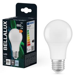 Matná LED žárovka E27 8.5W CLASSIC A, studená bílá