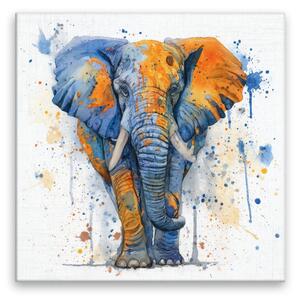 Obraz na plátně - Sloní duše - 80x80 cm - CZ výroba