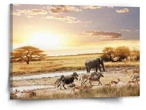 Sablio Obraz Safari - 150x110 cm