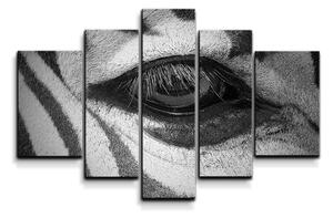 Sablio Obraz - 5-dílný Oko zebry - 125x90 cm